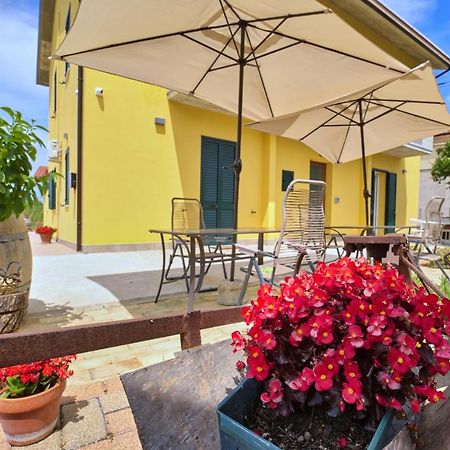 La Casa Del Vino - B&B Tollo Zewnętrze zdjęcie