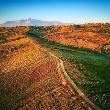 La Casa Del Vino - B&B Tollo Zewnętrze zdjęcie