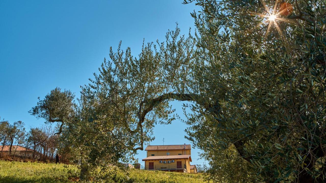 La Casa Del Vino - B&B Tollo Zewnętrze zdjęcie