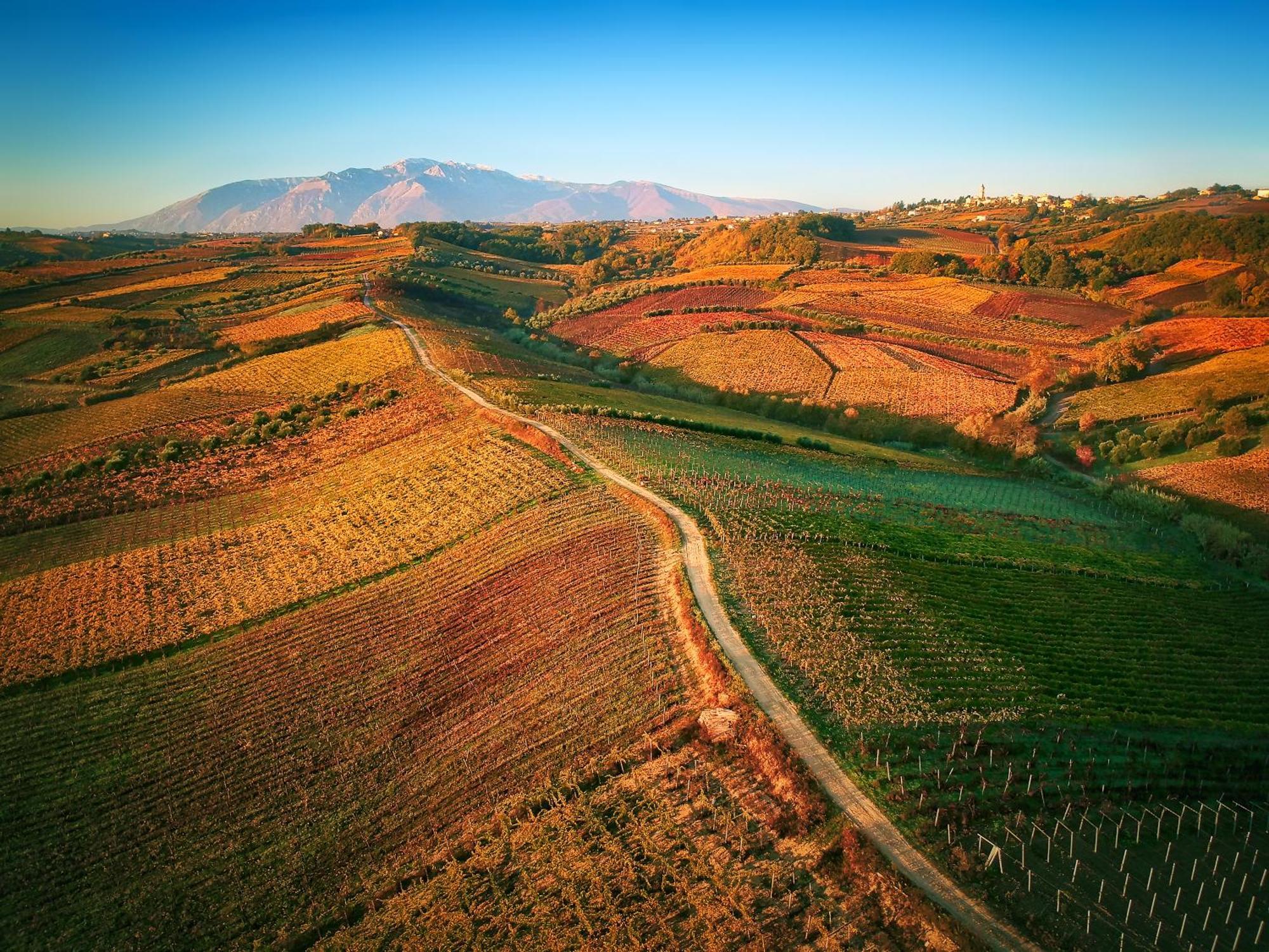 La Casa Del Vino - B&B Tollo Zewnętrze zdjęcie